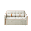 Modern 55.5" Pull Out Sleep Sofa Bed 2 Seater Loveseats Sofa Couch with side pockets, Adjsutable Backrest and Lumbar Pillows for Apartment Office Livi